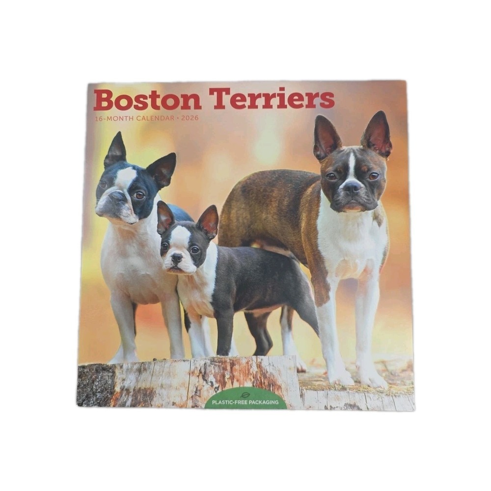 Boston Terrier Calendar 2026 Monthly Wall Calender 16 Month Made‎ In USA
